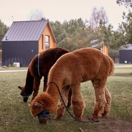 بيت للعطل Osada Hygge غوستينين